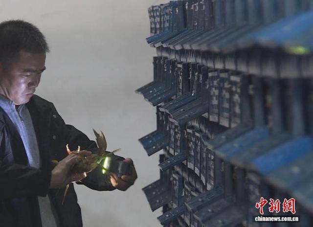 工作人员在炎亭“蟹公寓”养殖基地查看螃蟹生长情况。 张大波 供图