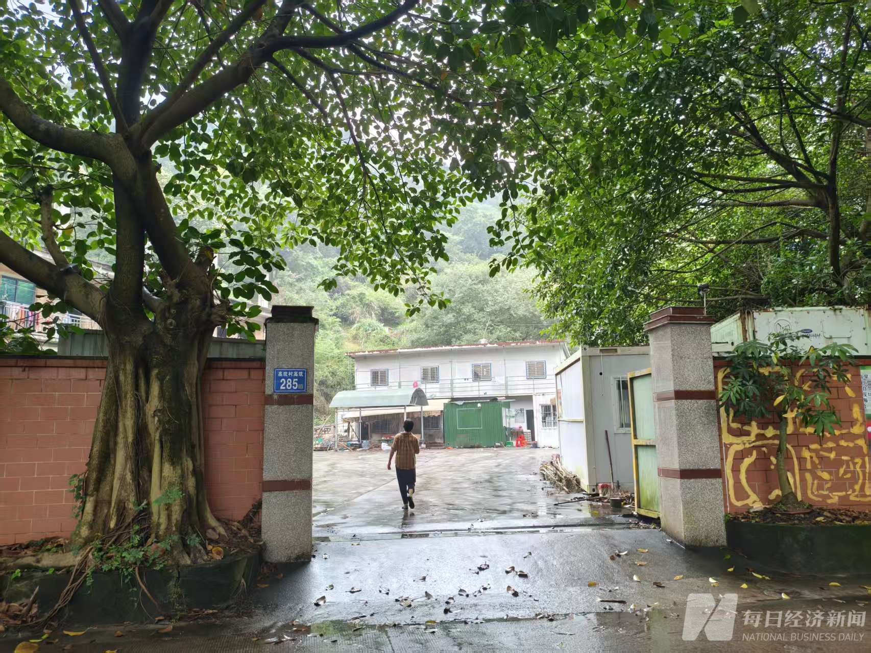 陈月英瘦削的背影 图片来源：每经记者 赵李南 摄