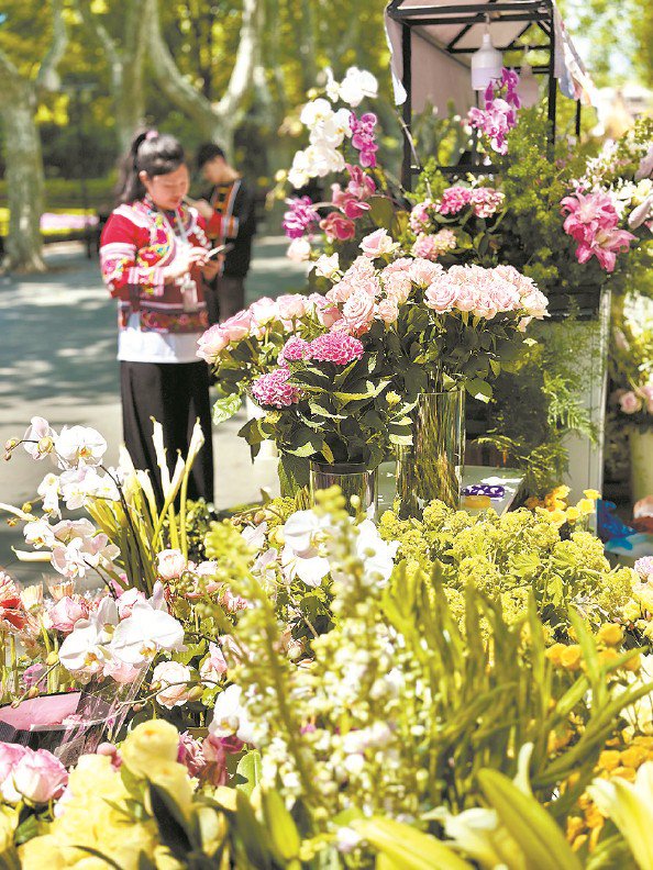 来自云南的“卖花姑娘” 本报记者 金旻矣 摄