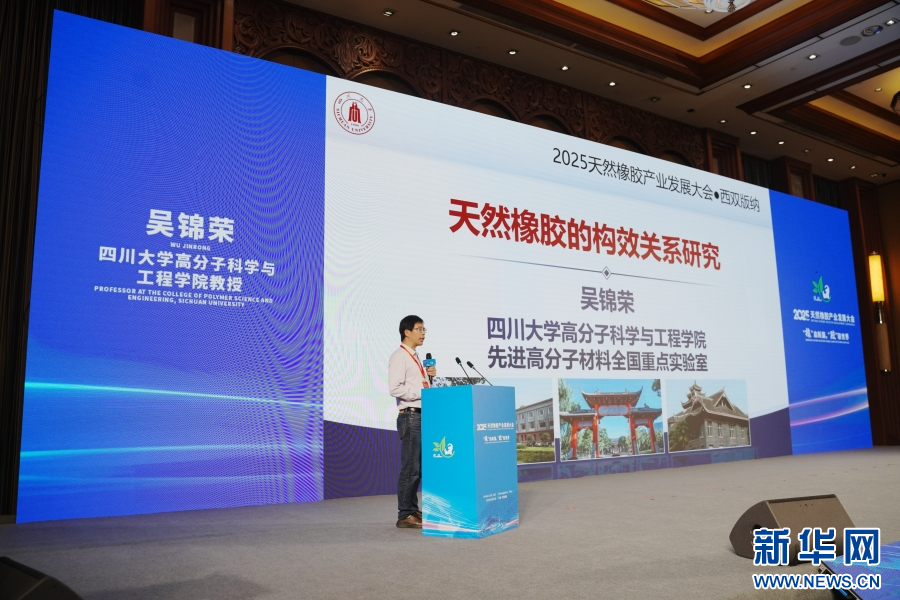 专家作主旨发言(10月25日摄)。新华网发(李柏霖 摄)