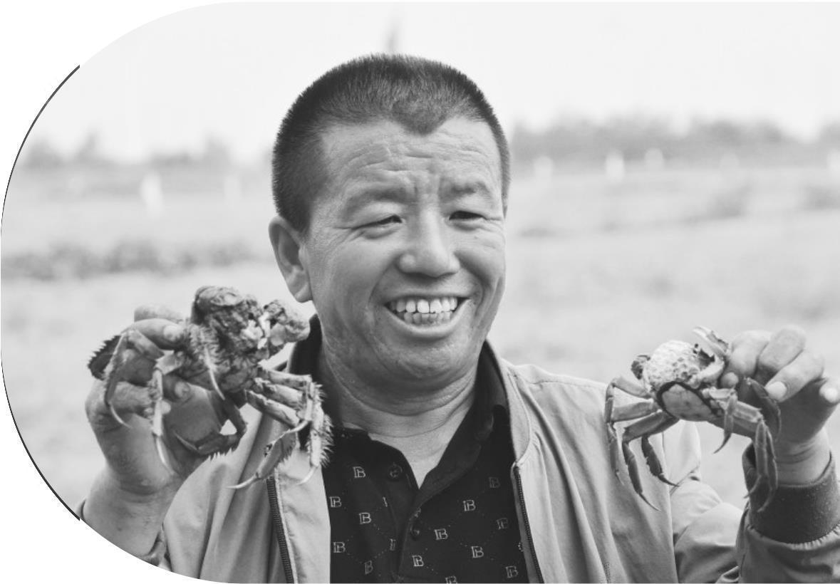 图：养殖户展示刚打捞的河蟹。