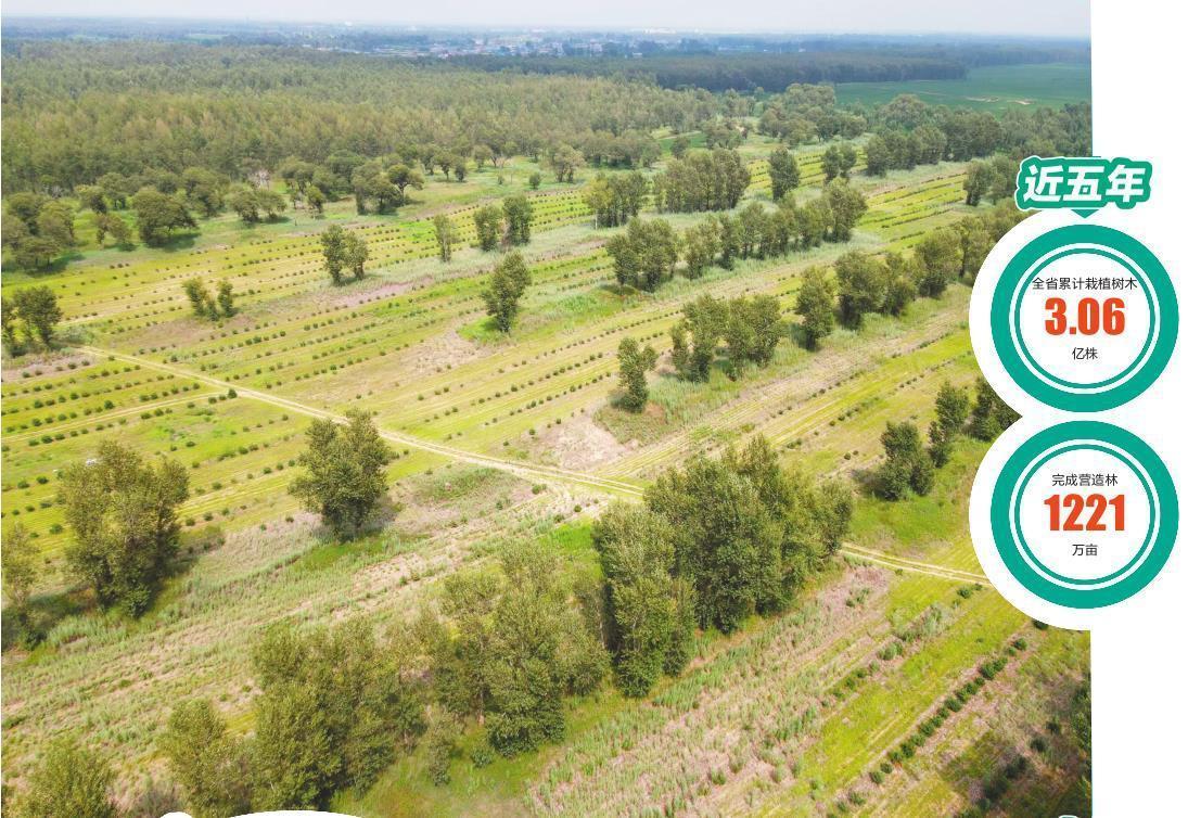 ①经过几代治沙工作者的共同奋斗，彰武县沙化土地发生了巨大变化，昔日漫天黄沙渐被满眼绿色所替代。 本报特约记者 朱学著 摄