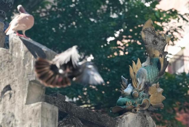 11月12日，在香港的文武庙屋顶上，立着鳌鱼的雕塑。新华社记者 吴鲁 摄