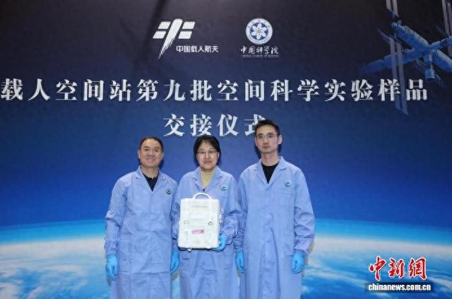 中国空间站第九批空间科学实验样品交付科学家开展研究。中国科学院空间应用中心 供图