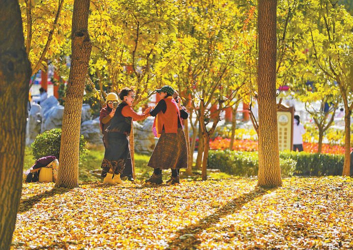 立冬过后，北京西海子公园并未褪去秋的斑斓，“金色地毯”成为市民打卡热点。本报记者 方非摄