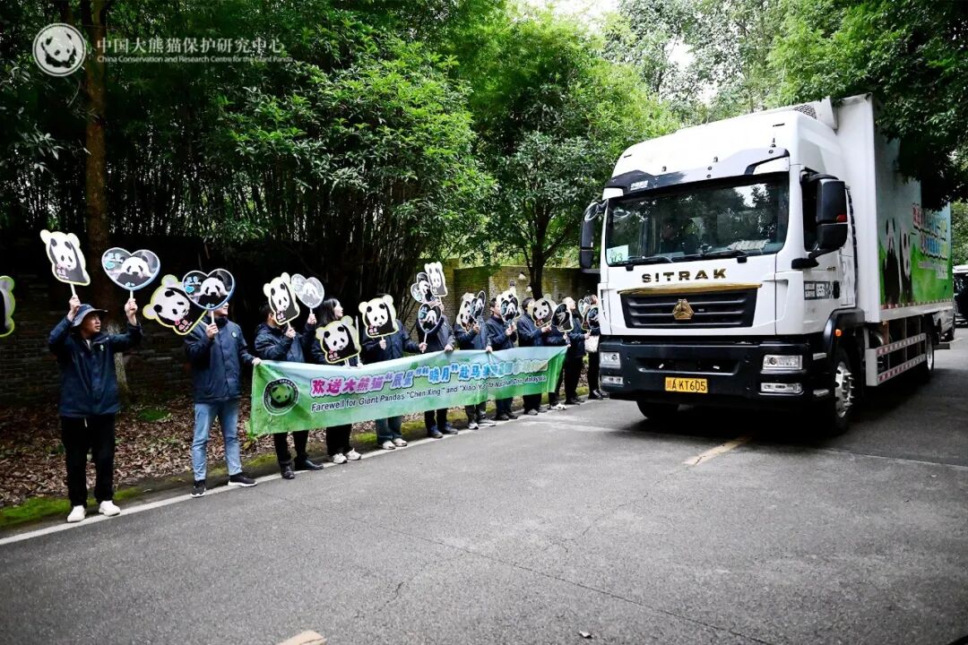 欢送大熊猫“辰星”“晓月”赴马来西亚