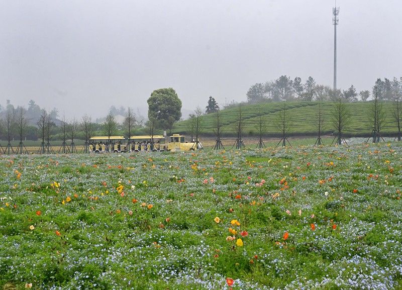 责任编辑：胡庆章