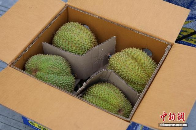 抵达成都国际铁路港的泰国榴莲。成都国际铁路港供图