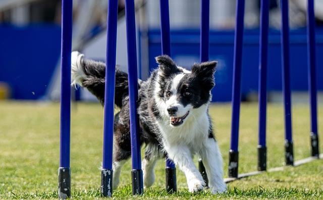 采访对象供图（下同）