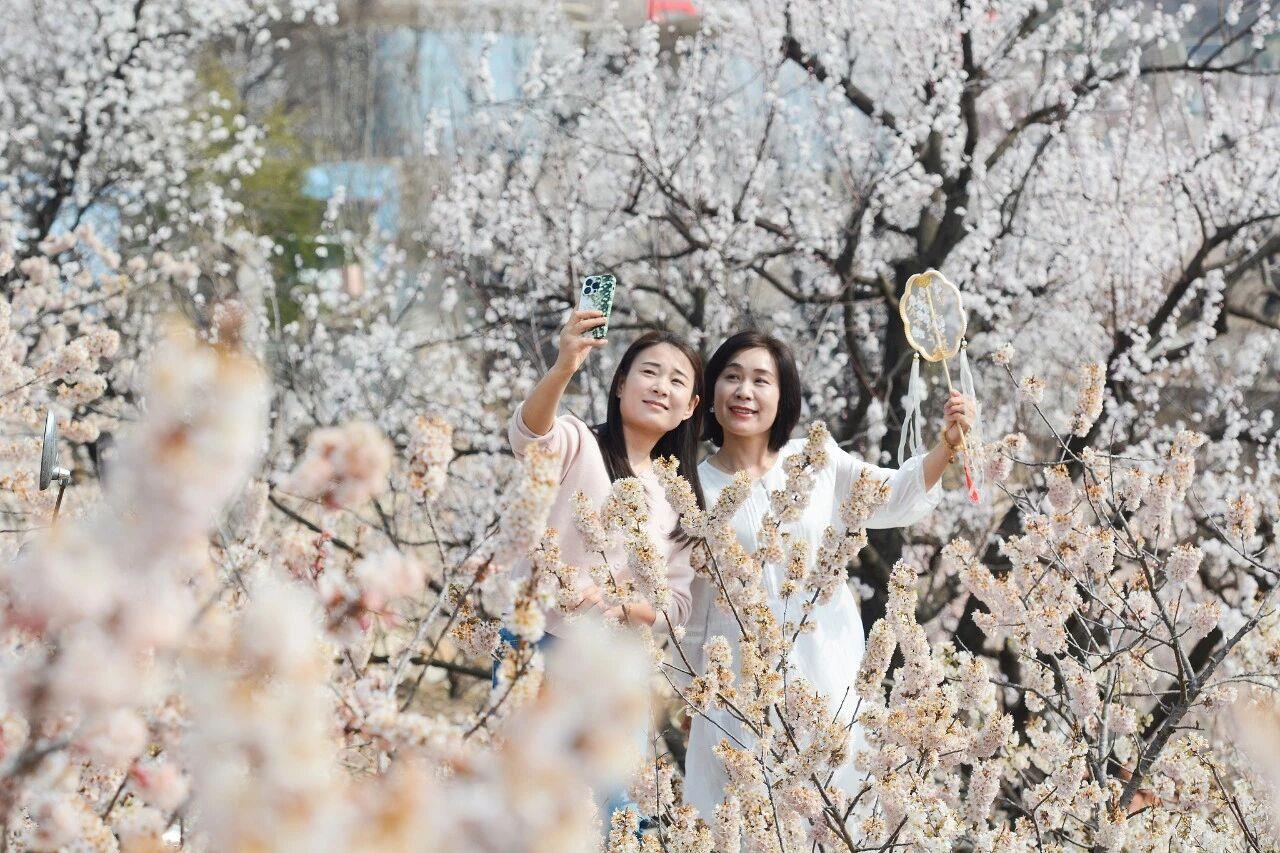 △山东日照，游客踏青打卡。