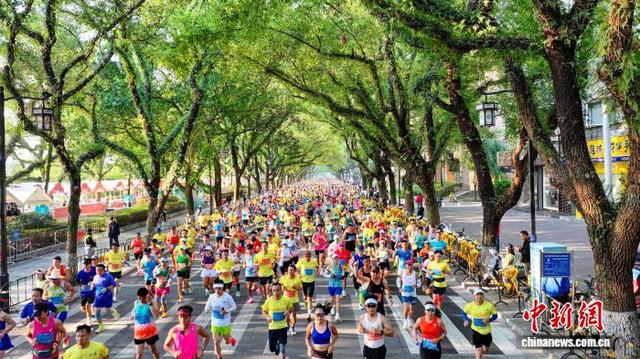 图为11月16日,2025桂林马拉松参赛选手奔跑在滨江路段。(无人机照片)杨宗盛 摄