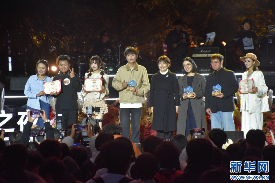 颁奖仪式现场（11月14日摄）。新华网发