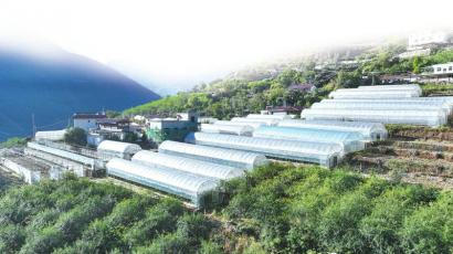 　　11月8日，木里县乔瓦镇簸箕箩村，攀枝花援建的农业智慧大棚整齐排列。 湛璐霜 摄