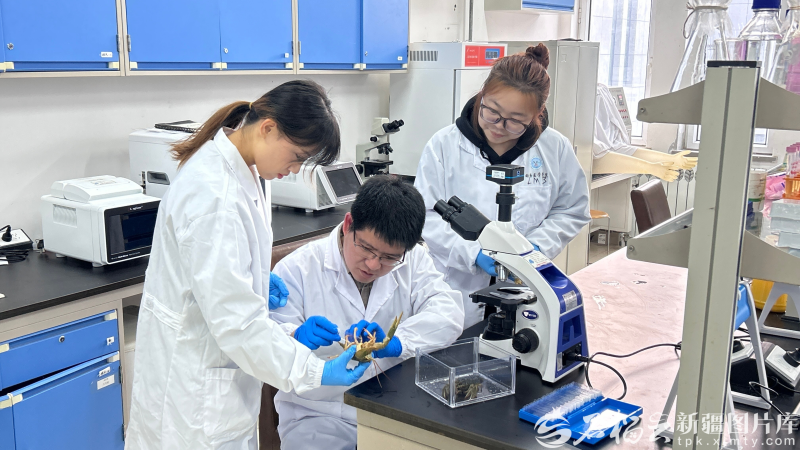 在新疆农业大学动物医学学院实验室，新疆吉木乃窄螯螯虾科技小院师生正在观察螯虾性腺组织切片。张格摄