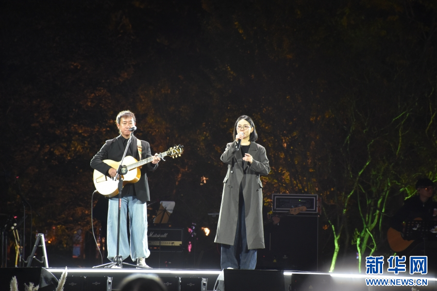 演出现场（11月14日摄）。新华网发