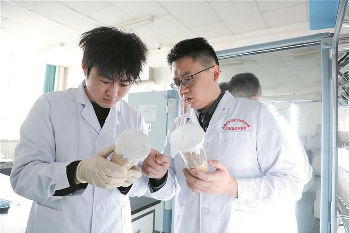 1月27日，苟长青（右）指导学生观察供试虫源的饲养情况。 兵团日报常驻记者 曾维 摄