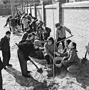 1963年，铁路职工子弟第八小学的学生植树美化校园。高宏 摄
