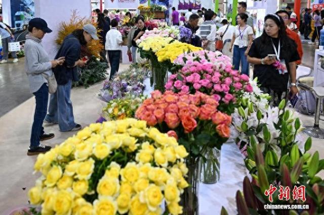 9月19日，第二十三届中国昆明国际花卉展上，观众在荷兰展区内欣赏展出的多个鲜切花品种。 李嘉娴 摄