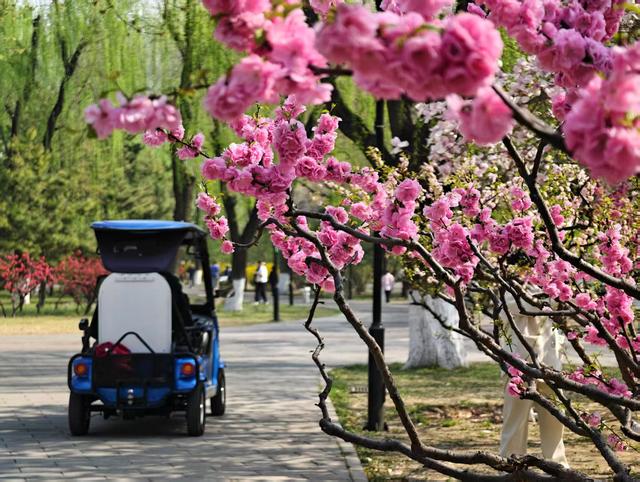 来源：北京日报客户端