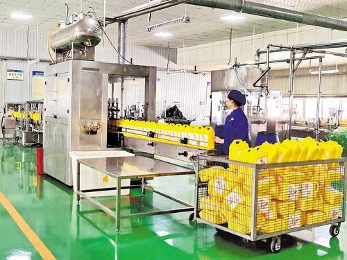 4月15日，河北菠莉亚生物科技有限公司生产车间，工人在灌装生产线上忙碌着。本报记者 张晓超摄