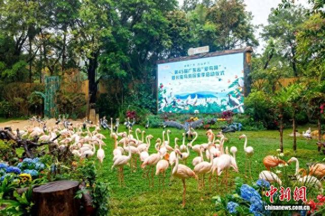 3月21日，第45届广东省“爱鸟周”暨长隆鸟类探索季在广州长隆野生动物世界启动。(广东长隆集团供图)