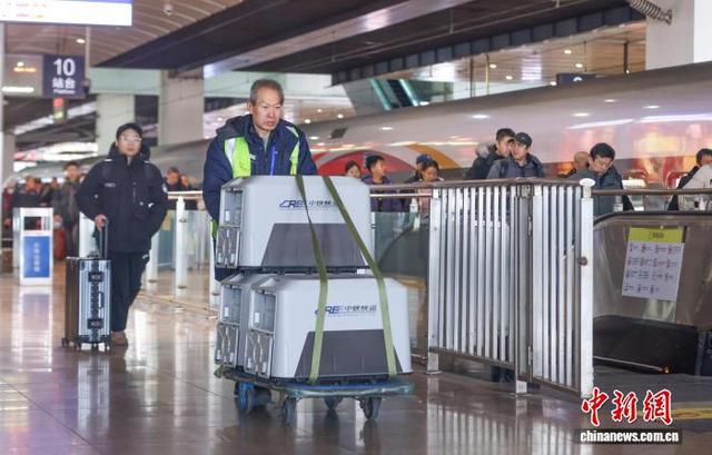 中铁快运北京分公司的工作人员将客户托运的宠物送上车。记者 贾天勇 摄