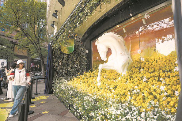 第一百货的艺术花卉橱窗吸引路人目光 本报记者 陈梦泽 摄