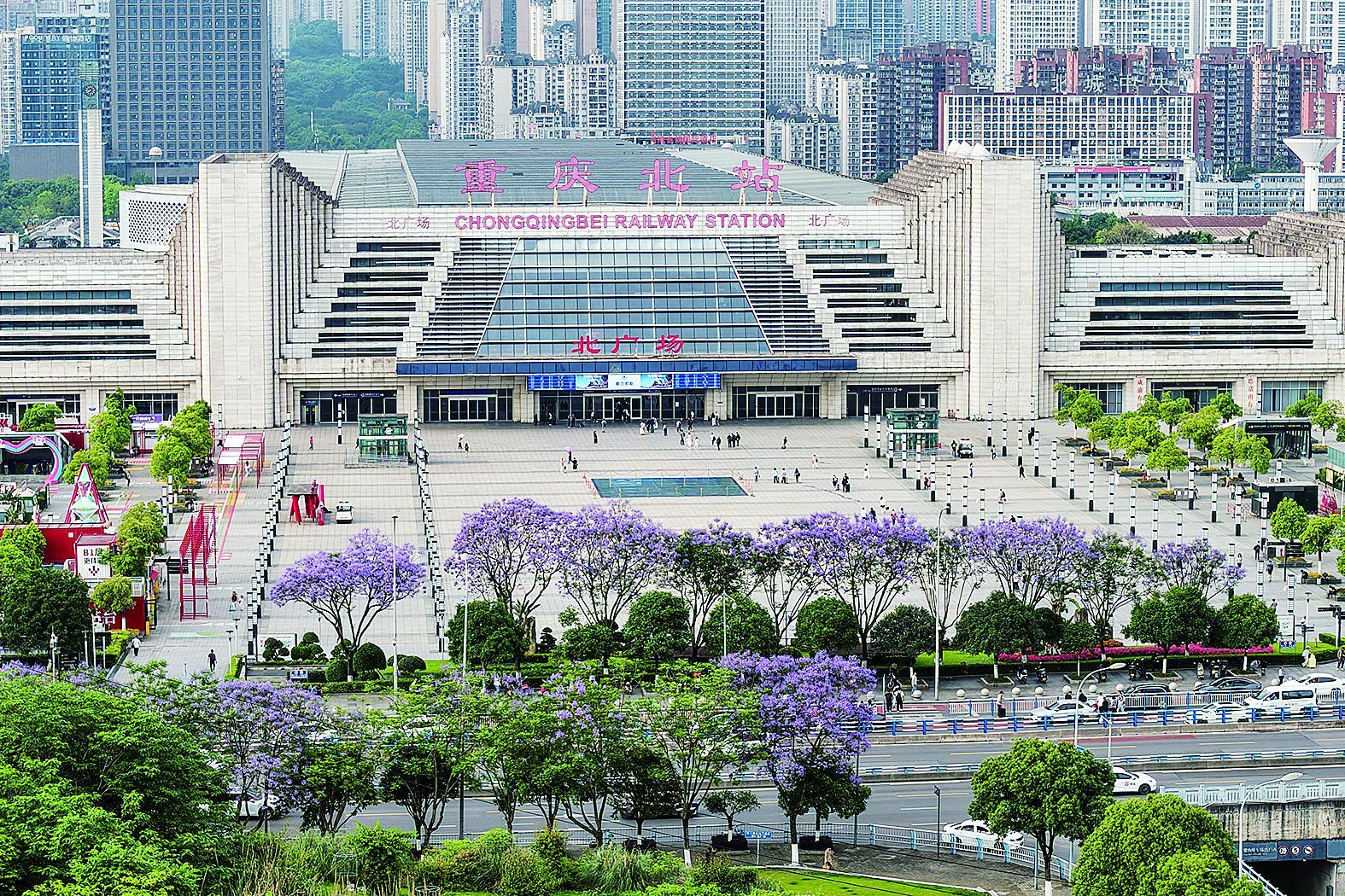 庐山大道的蓝花楹风景线 通讯员 王加喜 摄