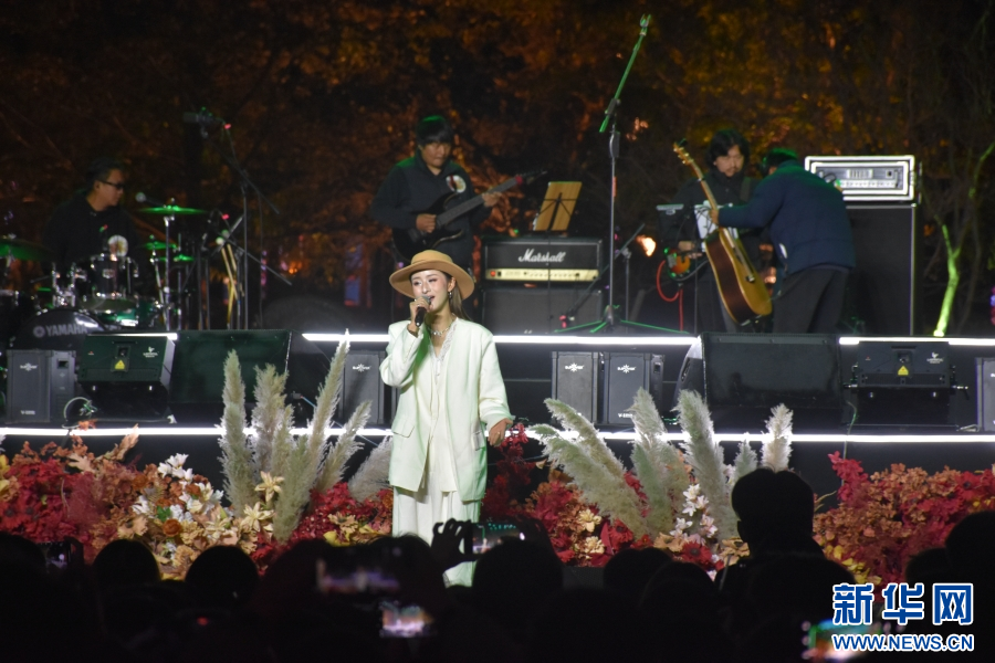 演出现场（11月14日摄）。新华网发