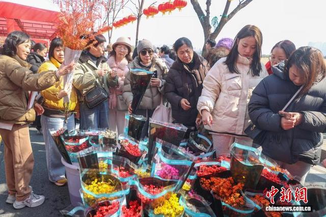 图为2月8日，2026南昌迎春花市现场，众多民众选购花卉。刘力鑫 摄