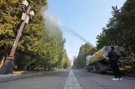 在北京地坛公园,工作人员使用添加了花粉固定剂的水对柏树进行喷淋。新华社 图