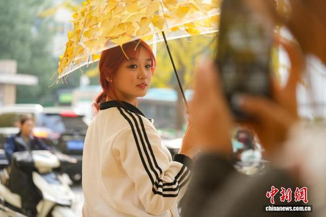 图为11月16日，游客在荆州古城人民路打卡拍照。吴淘淘 摄