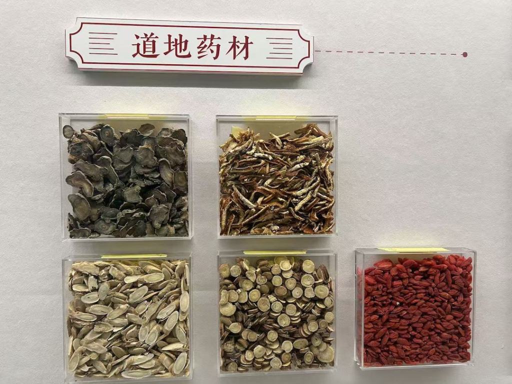 展览现场 道地药材