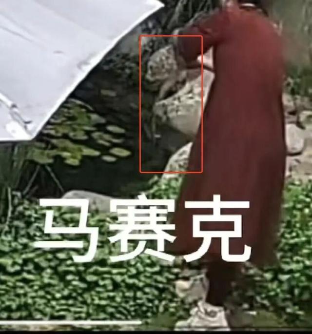 有顾客往鱼池内倒茶水（受访者供图）