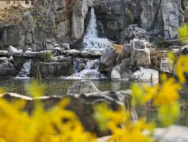 来源：北京日报客户端