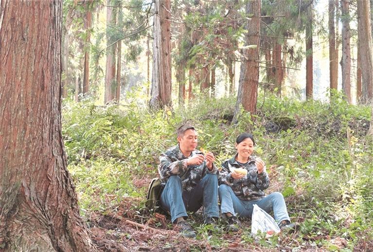 姚克礼夫妇在巡林路上休息。陈庆军 摄