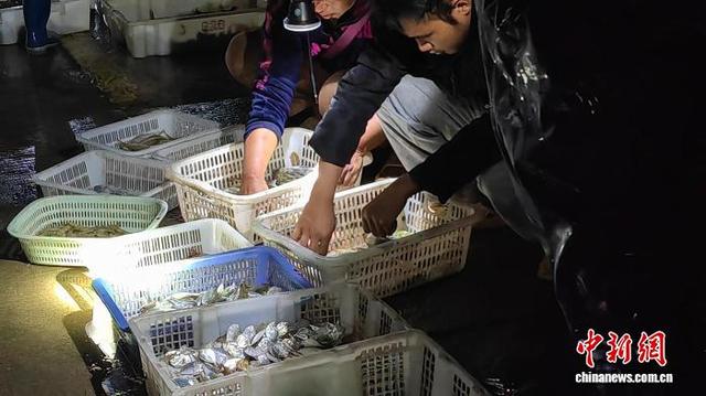 图为顾客在挑选海产品。中新社记者 梁盛 摄