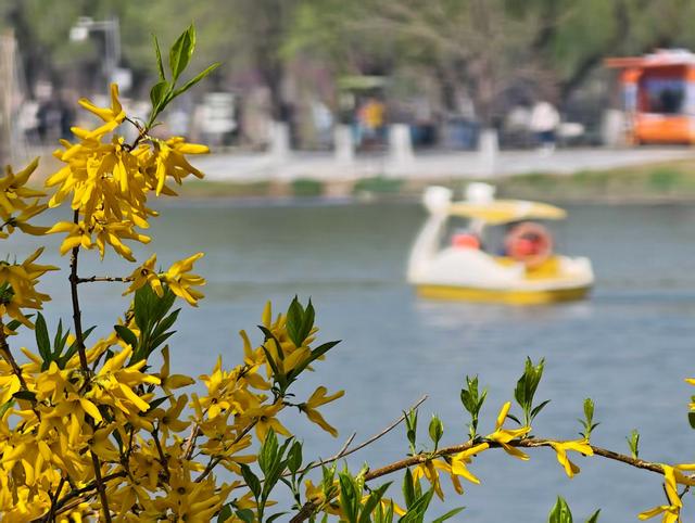 来源：北京日报客户端
