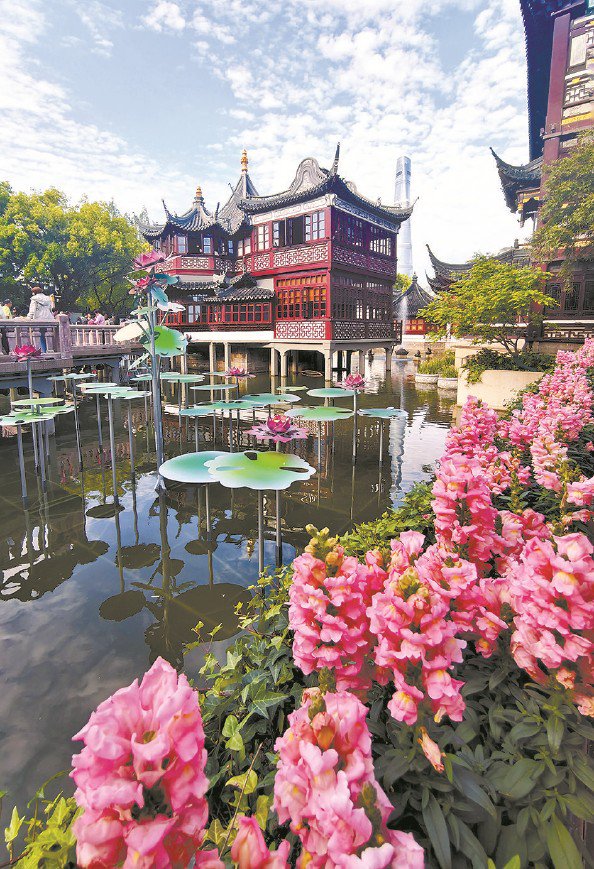 九曲桥水面映出“莲影银荷” 本报记者 周馨 摄