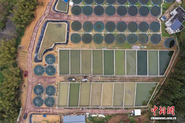 图为当地设施渔业基地。平南县融媒体中心 供图