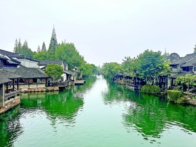     11月8日拍摄的乌镇景区。光明网记者赵金悦摄/光明图片