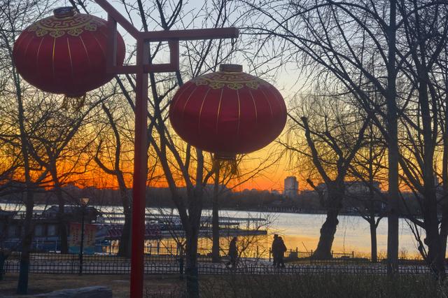 北京玉渊潭公园一派祥和。姚猛 摄