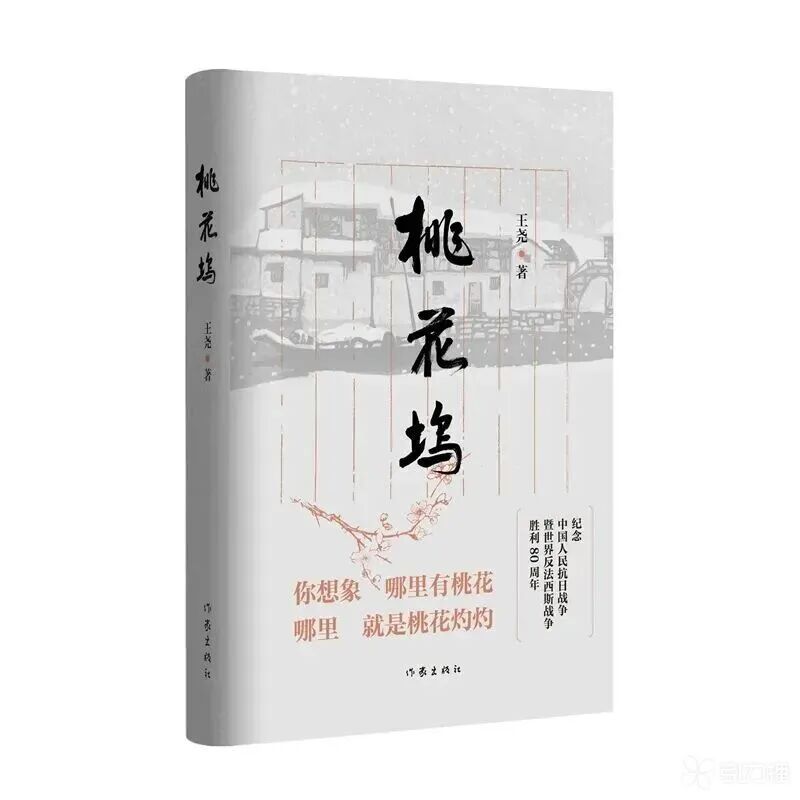 长篇小说《桃花坞》。受访者供图