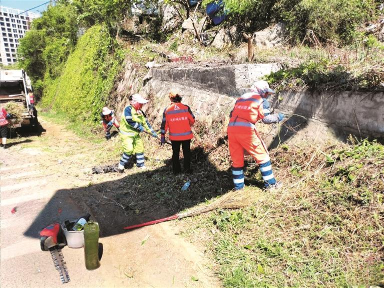 倒伏树木清理现场。（受访者供图）