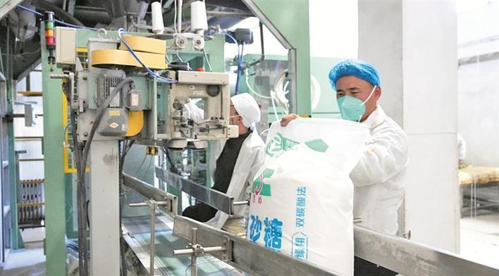 在新疆绿翔糖业有限责任公司制糖车间，党员先锋岗员工在生产线上忙碌（摄于2025年12月25日）。官航 摄