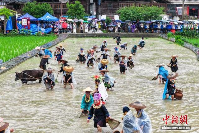 图为“关秧门”民俗活动现场。尹刚 摄