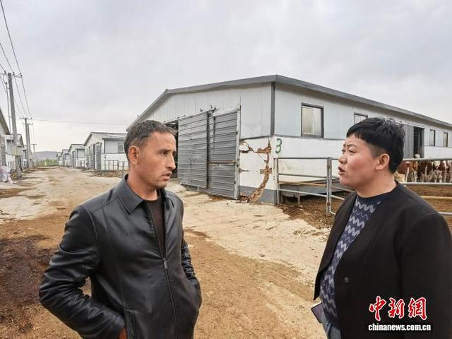 图为李亚萍在和新疆客商交流。刘春冉 摄