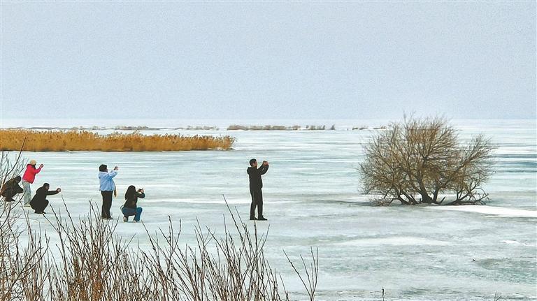 摄影爱好者们在拍摄湖光山色。