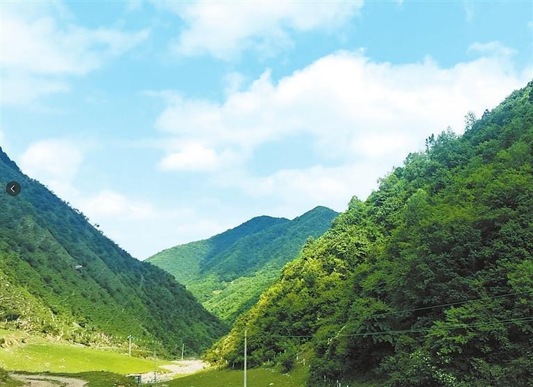 藉源林场 秦州区委宣传部供图