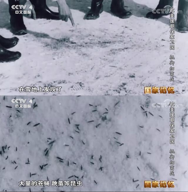 来源：《国家记忆》视频截图